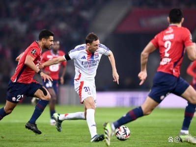 法国杯赛程吃紧，里尔今夜强势反弹，目标明确，细节决定成败的简单介绍-九游体育